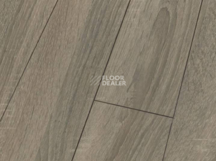 Ламинат Falquon Blue Line Wood 8mm D4186 SONOMA OAK фото 1 | FLOORDEALER